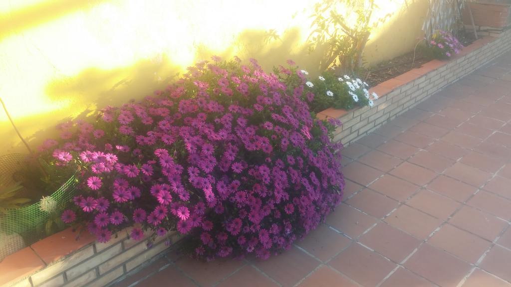 Bed & Breakfast El Enganche Cordoba